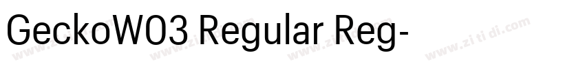 GeckoW03 Regular Reg字体转换